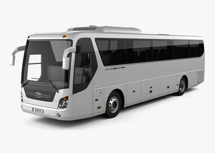 Коврики на Hyundai Universe Space Luxury  в Челябинске
