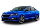Ворсовые коврики на Skoda Rapid II 2019 - 2025 в Челябинске