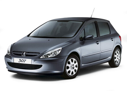 Ворсовые коврики на Peugeot 307 2001 - 2008 в Челябинске