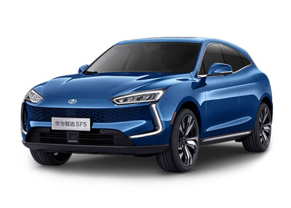 EVA коврики на Seres SF5 2019&nbsp;-&nbsp;2022 в Челябинске