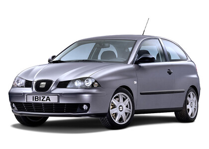 Ворсовые коврики на Seat Ibiza III 2001 - 2008 в Челябинске