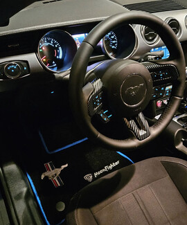 Коврики на Ford Mustang VI 2013&nbsp;-&nbsp;2023 в Челябинске
